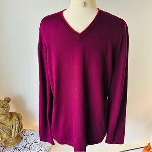 Men's V-Neck Burgundy Sweater Tristan